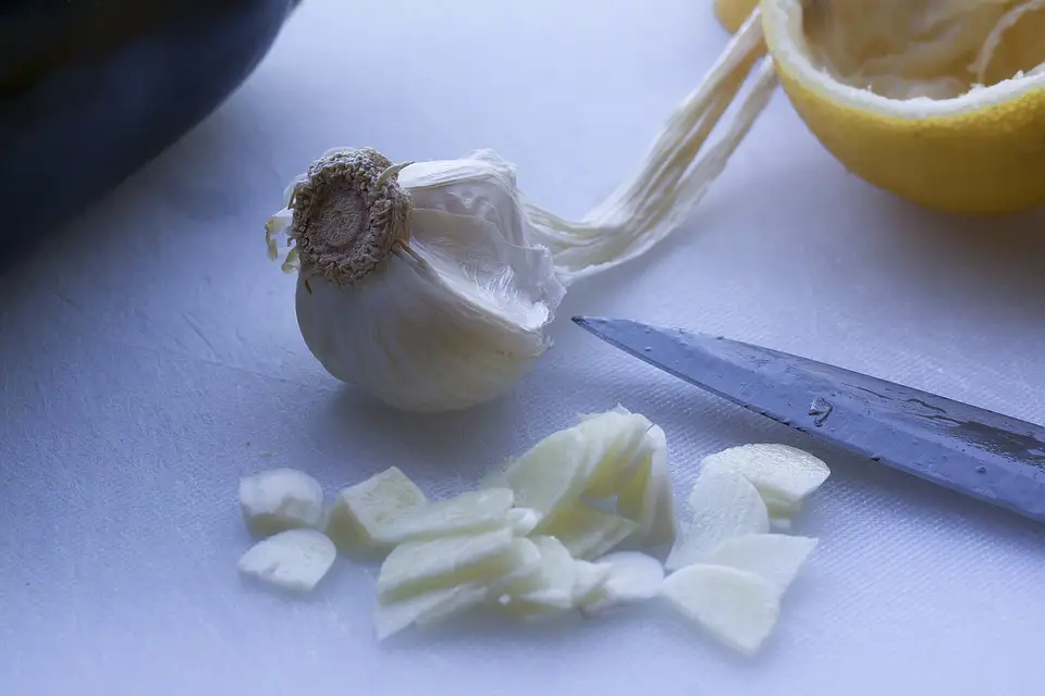 Garlic to drive geckos away