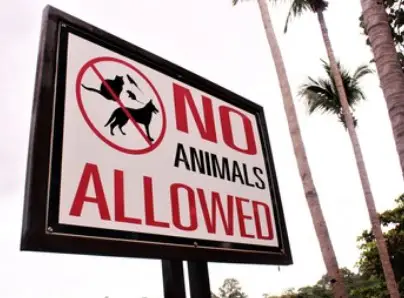 No Pets Allowed Notice